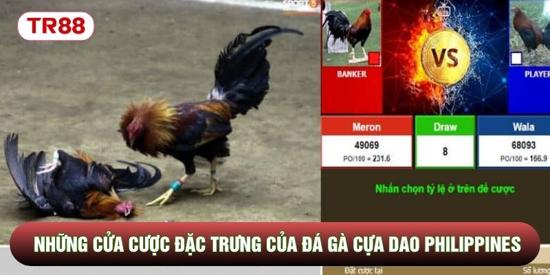 Những cửa cược đặc trưng của đá gà cựa dao Philippines Những cửa cược đặc trưng của đá gà cựa dao Philippines