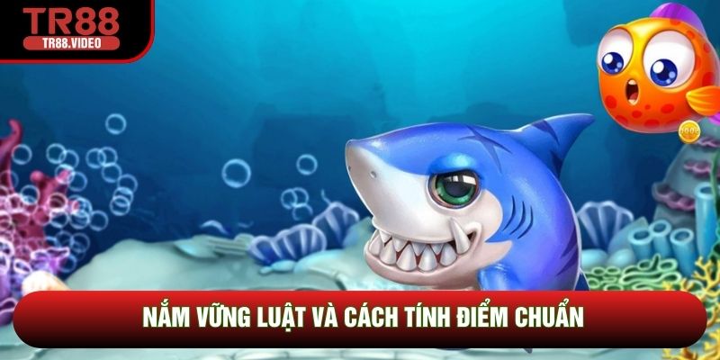 Nắm vững luật và cách tính điểm chuẩn